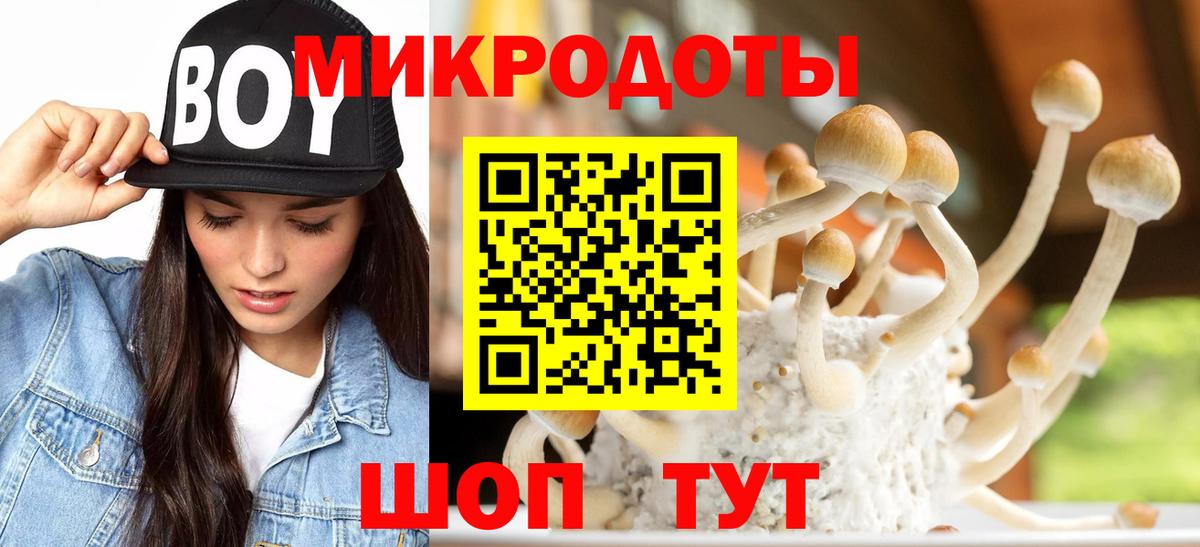 Псилоцибиновые грибы Psilocybe  Вход с VPN  Щёлково 