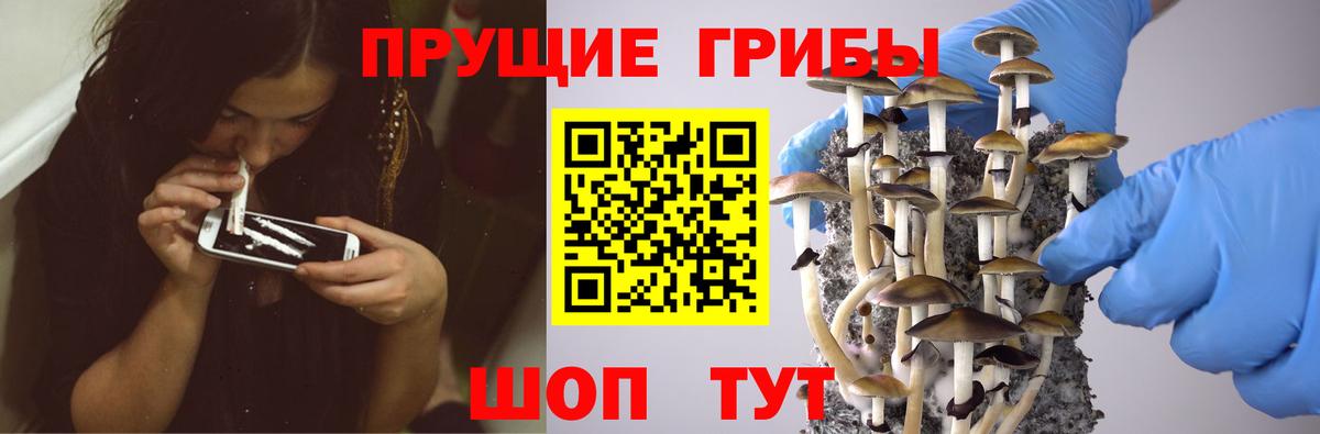 Псилоцибиновые грибы мицелий Щёлково